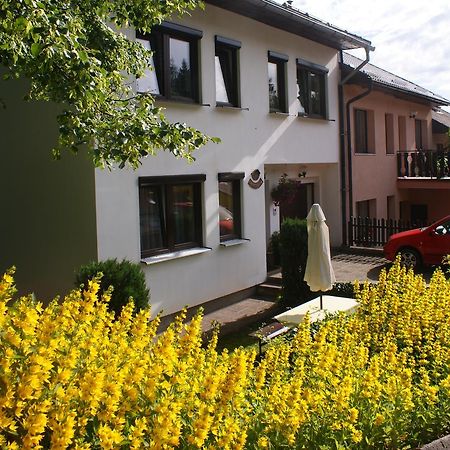 U Machacku - Lipno Daire Lipno nad Vltavou Dış mekan fotoğraf