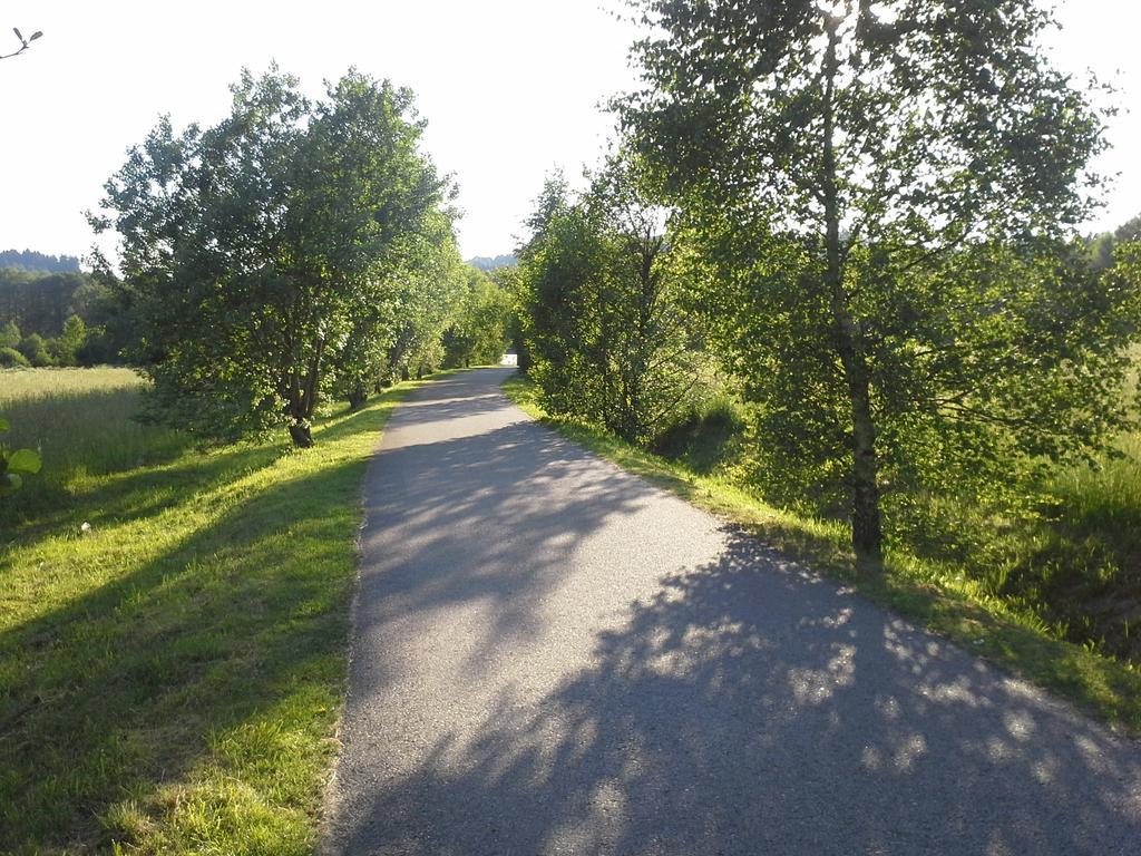 U Machacku - Lipno Daire Lipno nad Vltavou Dış mekan fotoğraf
