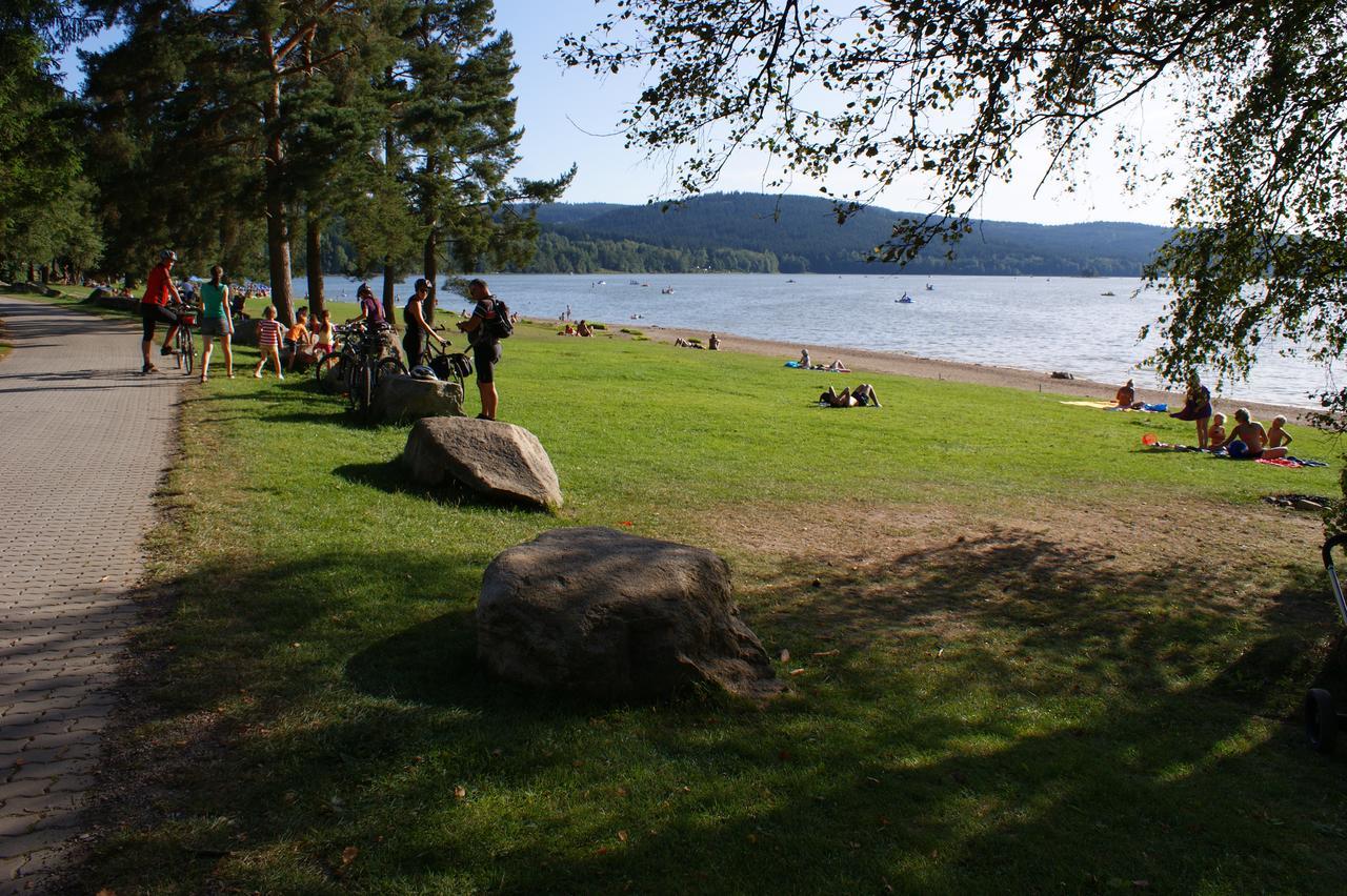 U Machacku - Lipno Daire Lipno nad Vltavou Dış mekan fotoğraf